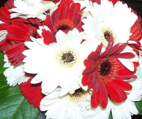 Valentine Floral Arrangements
