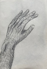 IMG_8785-0797B.jpeg
