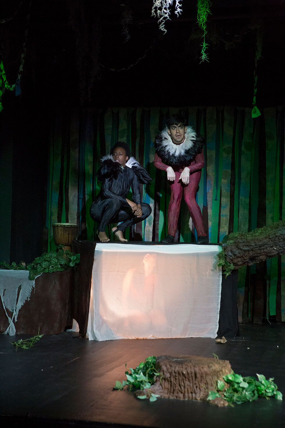 The Jungle Book (Play)