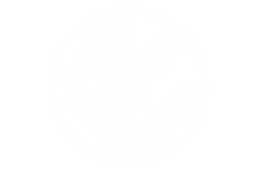 PNG-15.png