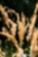 Naturfotografie