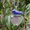 Thumbnail: Mountain Blue Bird Pendant & Necklace