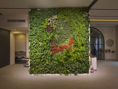 Campagna o città? Questo è il problema!