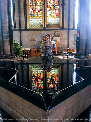 IMG_7693