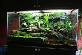 Terrario