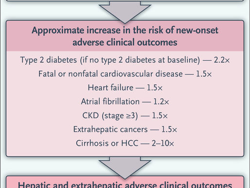 hepatic steatosis diagnostic criteria