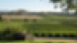 069494 - Copy-r1.jpeg
