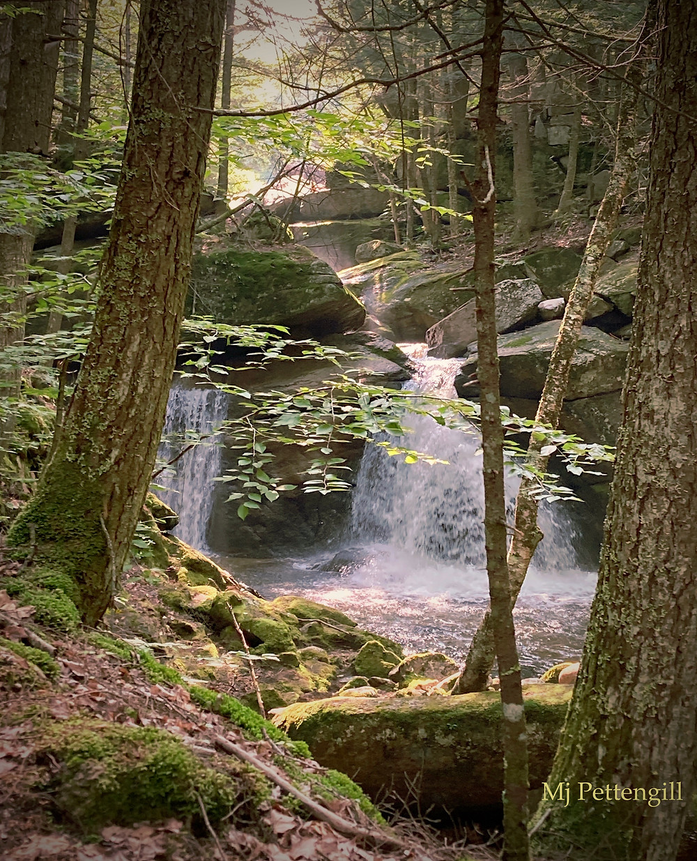 Sacred River, Mj Pettengill