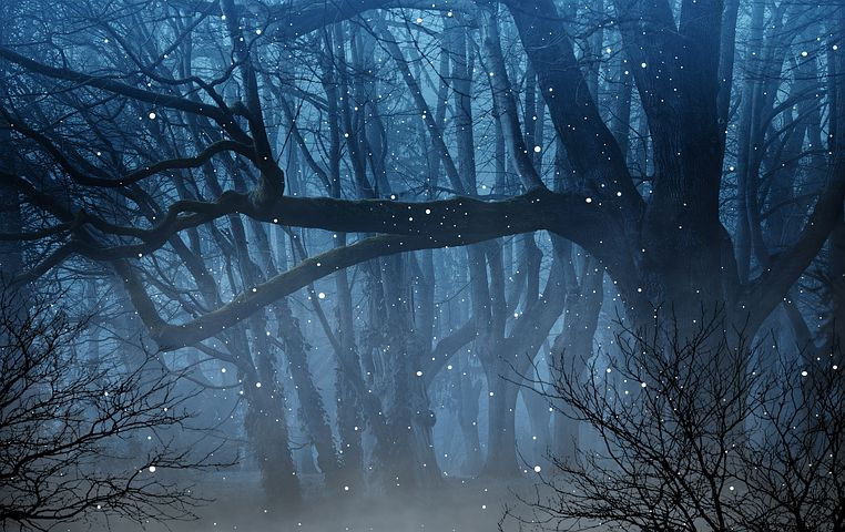 Magical Fireflies in the Forest, CCO