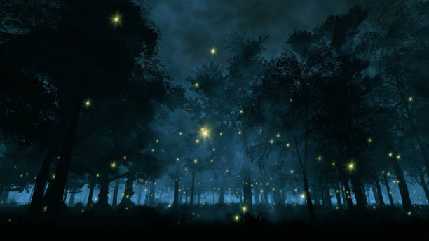 Fireflies, iStock Photos