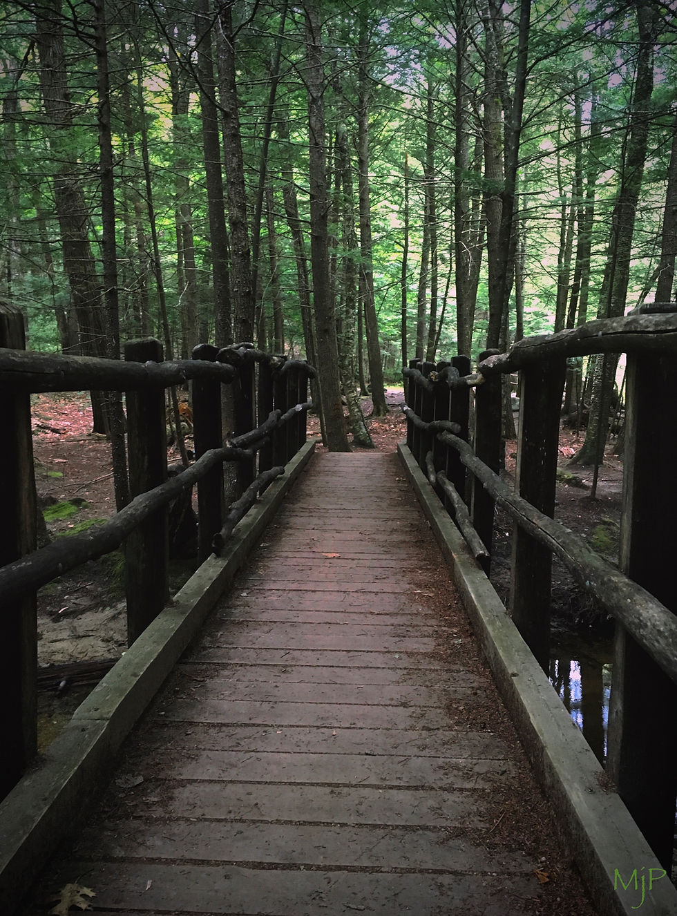 The Bridge at Beede Falls, Mj Pettengill