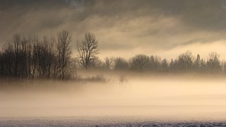 Winter Scene, CC0