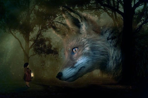 The Fox and the Girl (Max Pixel)