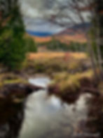 The bog and mountains in New Hampshire