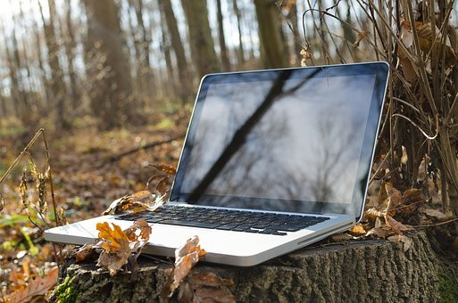 Laptop in the Woods, CC0