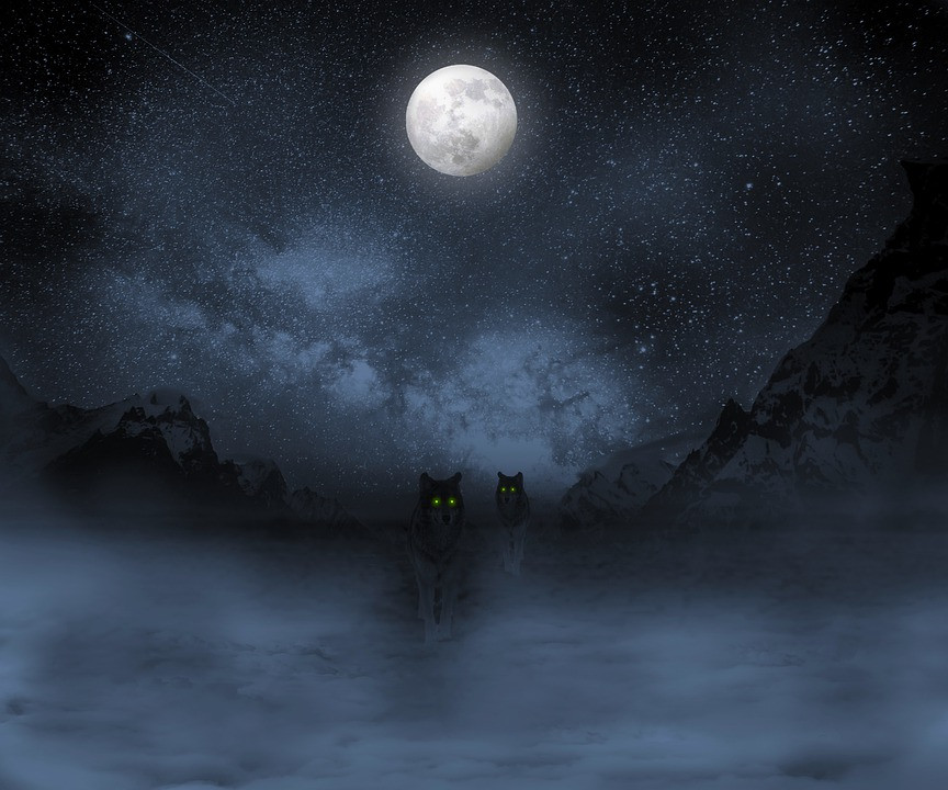 Winter Moon