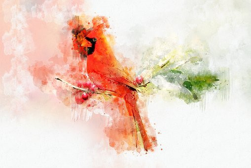 Abstract Cardinal. CC0