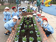全体CIMG4238.jpg