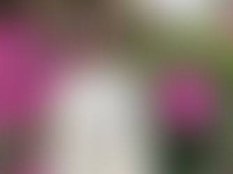 Profession solennelle à l’Étoile Notre-Dame