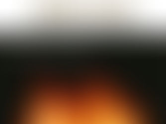 Newsletter no. 34 de AIM-USA