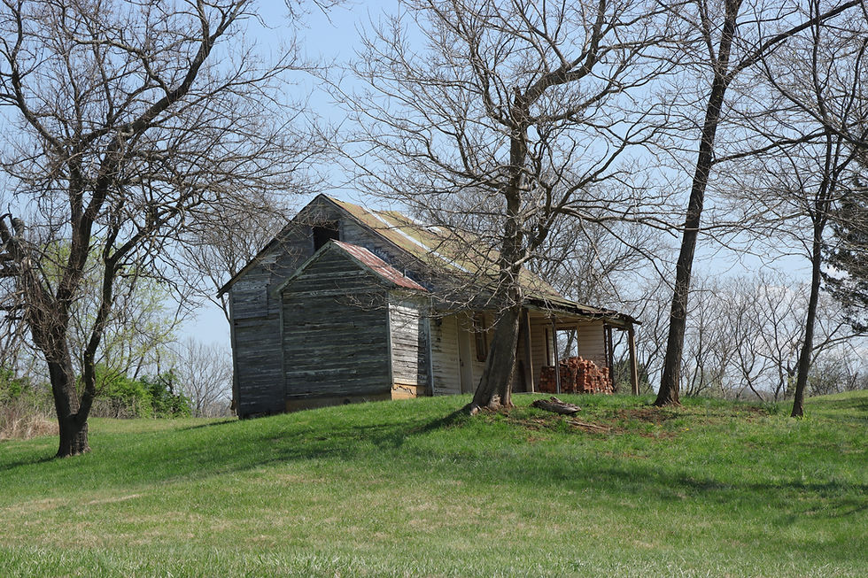 IMG_6300.JPG