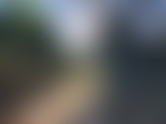 Spring Quarter Newsletter