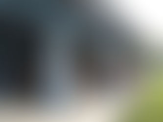 Fall 2022 Newsletter