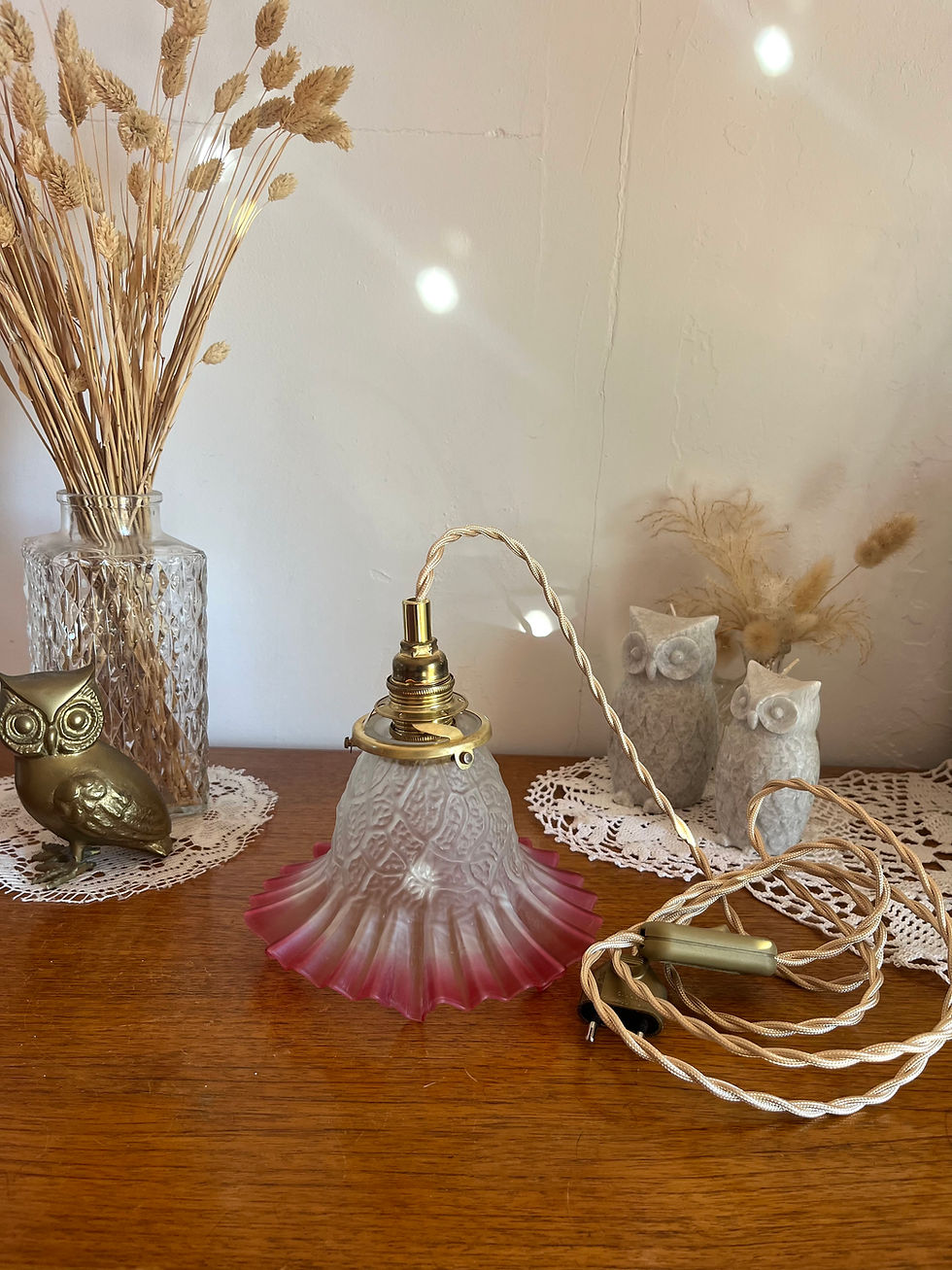 globe ancien en verre dépolie rose vintage baladeuse griffe ancienne