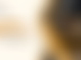 Best Call Center in Jamaica for 24/7 Customer Support Solutions