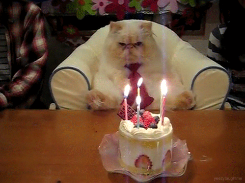 EN ABRIL A TI QUE CELEBRAS, ¡FELIZ  CUMPLEAÑOS!