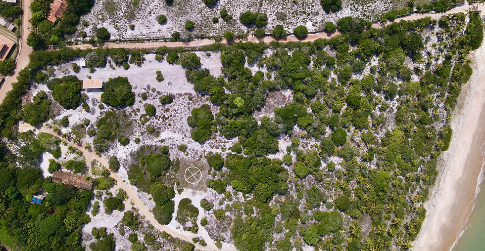 dji_fly_20230512_115836_15_1683903525222_photo.jpg