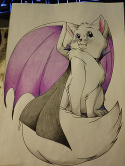 Tamashii the Vampirecat