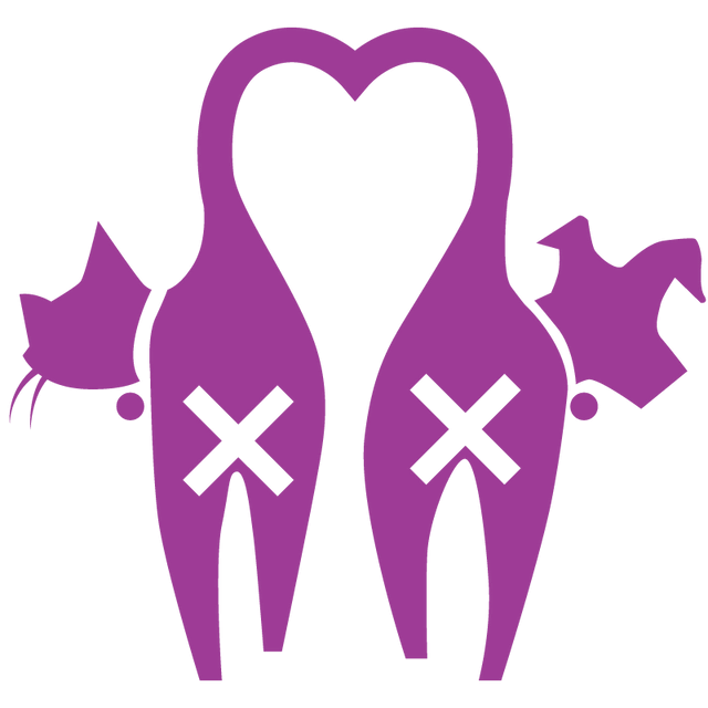spay neuter.webp