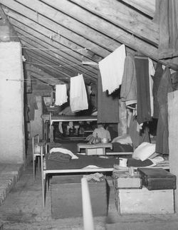 Gesuiti camp, attics 1950-1951