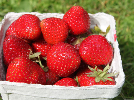 Glad midsommar!