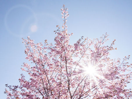 Kristi Himmelsfärdshelgen 21-24 maj