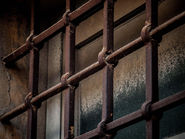 Over 10,500 Indian Citizens Jailed Abroad 43 on Death Row Says Government