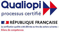 AAAA-LogoQualiopi-300dpi-Avec-MarianneBilans_de_compétences-Copie-1.jpeg
