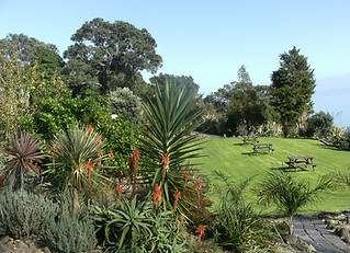 Lodge July 2014 061.JPG