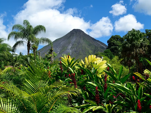 Biodiversity as a Language: What the Loss of Species Means for Human Culture