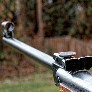 19,274 badgers killed in 2017 culls...