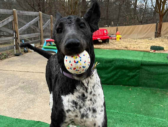 414905128_348485791255788_1396422925215677438_n (1).jpg