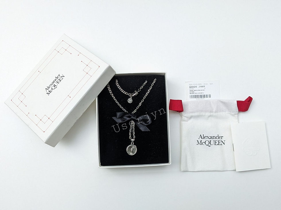 縮圖：Alexander McQueen Men's Silver Snake & Skull Medallion Necklace boxed