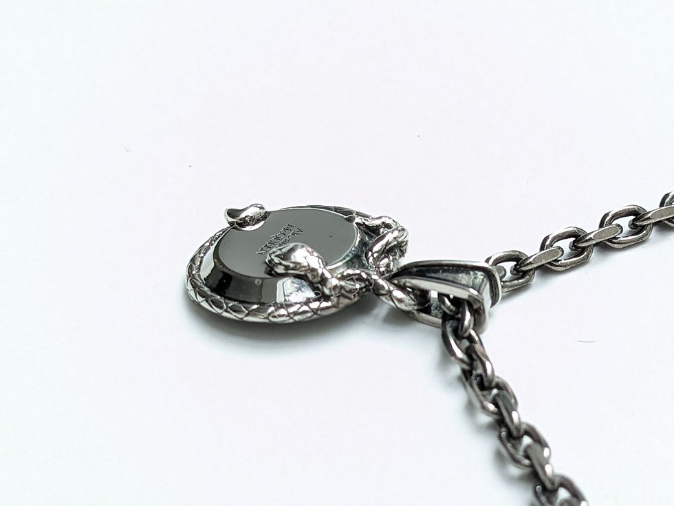 縮圖：Alexander McQueen Men's Silver Snake & Skull Medallion Necklace detailed top view