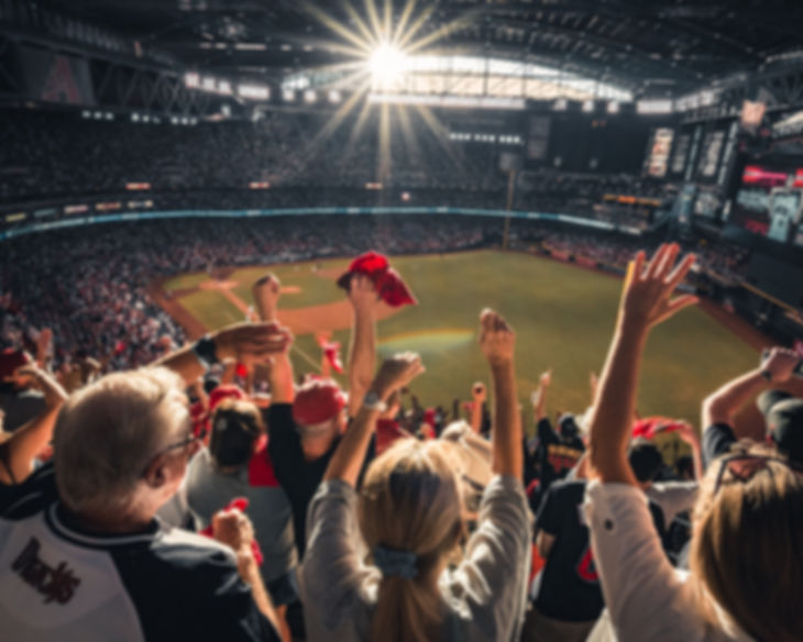Go Team! Tickets to see Favorite Team Play