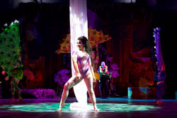 CIRQUE DREAMS ELYSION - Silks 2