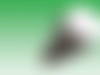 Check Valve #8 -Reverse