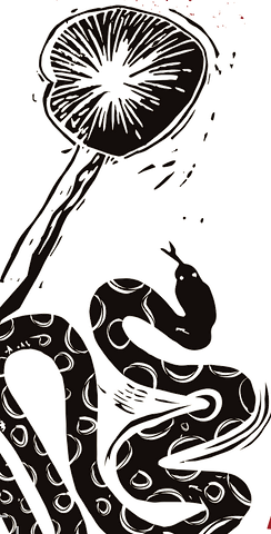 Woodcut of a mushroom and a coiled snake