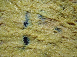 寒ブリ味噌漬け お正月のおせち料理