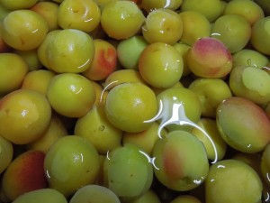 梅干し作りの季節 赤米粥